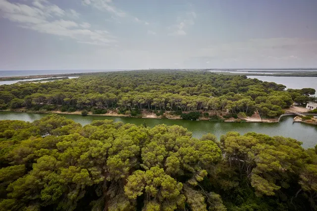 穿行阿爾布費拉自然公園，遇見自然本真