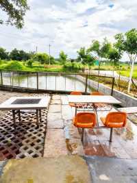 伍星小築:稻浪塘邊,烤盡鄉野煙火