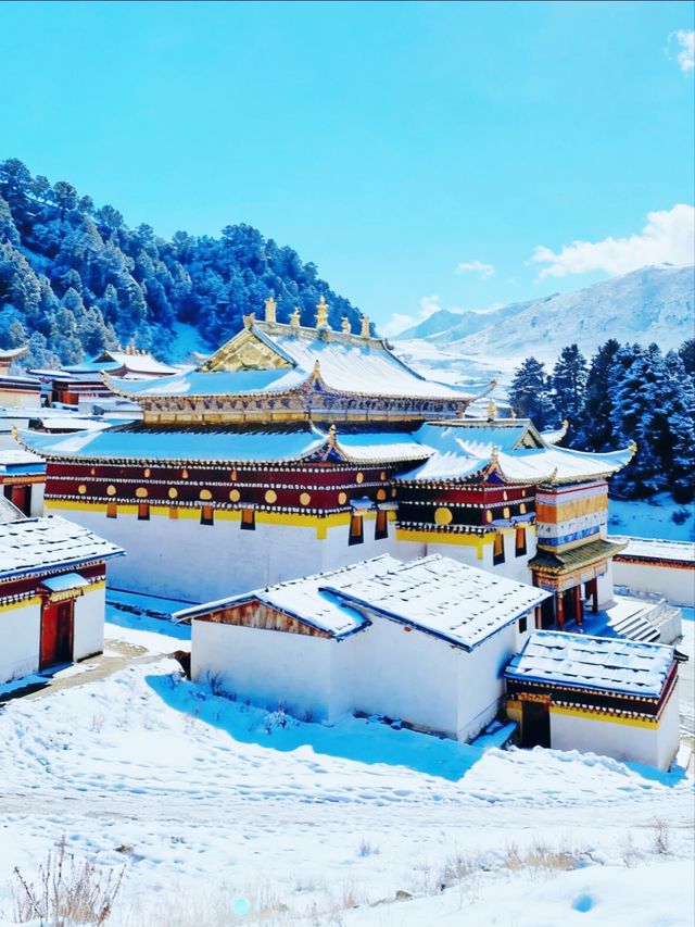 放棄哈爾濱冬天來甘南旅遊,真的贏麻了 放棄哈爾濱冬天來甘南旅遊,真的贏麻了