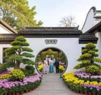 小欖菊花會2025暴走攻略人均50元拍爆128G記憶體