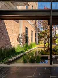 順德民宿封神！清暉園旁舊改秘境，深圳1.5h直達超治癒