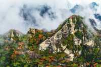 翠華山淡季門票上線，冬日玩法翻倍