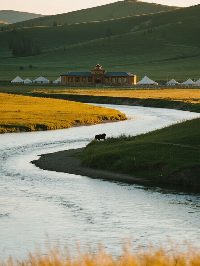 冬日草原親子行|明星同款酒店遛娃記 冬日草原親子行|明星同款酒店遛娃記
