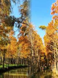 江蘇人嘴真嚴,這麼美的地方藏著不說~