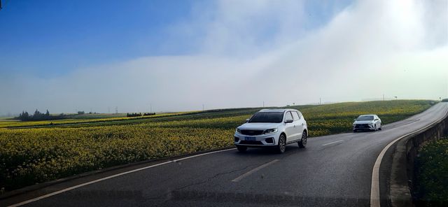 峰叢花田醉我心