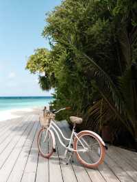 馬爾代夫Soneva Fushi頂級海島度假天花板