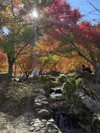 不是京都!實況無調色