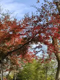 莫干山太美了 好棒完成人生第一次徒步