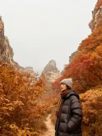 洛陽出發!一天玩轉少林寺全攻略