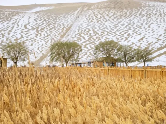 鳴沙山月牙泉冬春半價暴擊