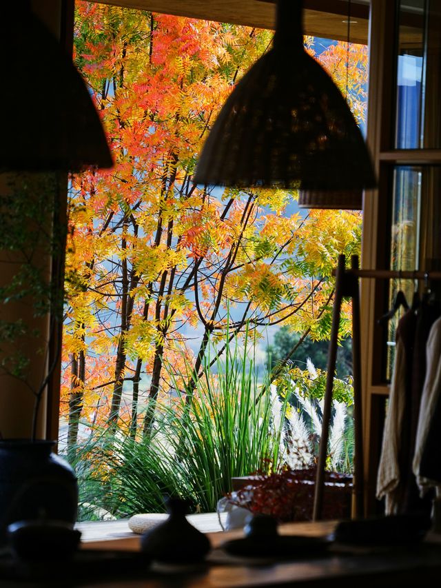 雲南旅行 | 去了沙溪家很出片的咖啡店