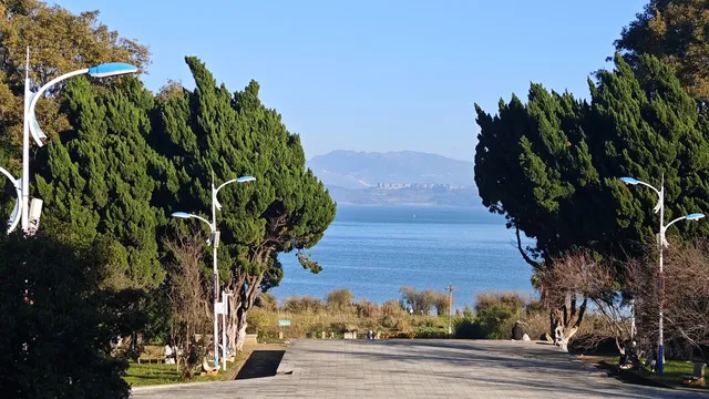 昆明小眾觀鷗地|磊樓的滇池治癒時刻 昆明小眾觀鷗地|磊樓的滇池治癒時刻