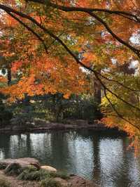 東郊秘境直出！比西郊美10倍的live級秋日畫冊