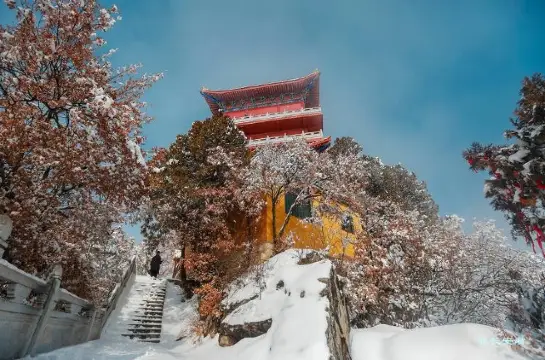 冬日西安超詳攻略｜古都12月必玩TOP5一網打盡