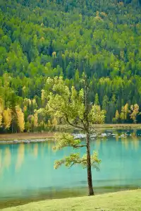 喀納斯湖 Kanas lake 天堂遺忘的地方