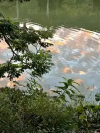 潮州吸氧|橄欖小莊愜意好時光