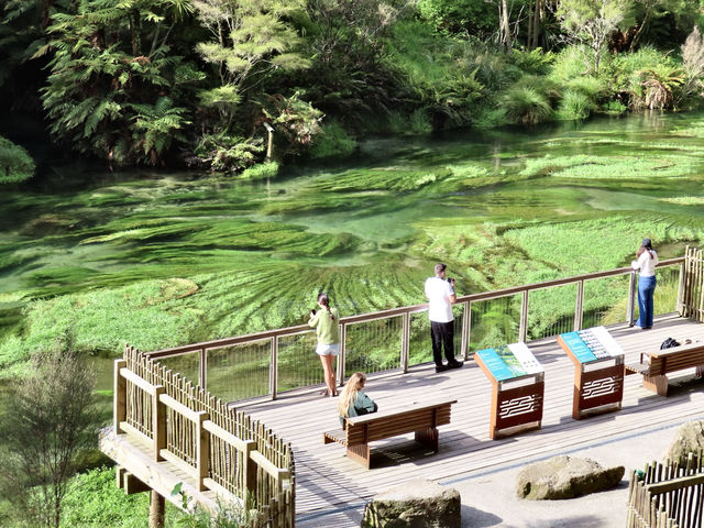 私享路線3-新西蘭北島人不多