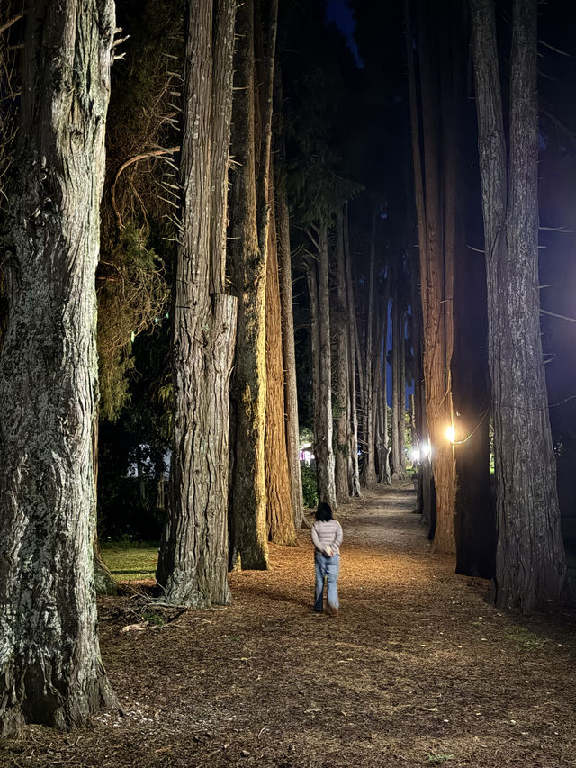 私享路線3-新西蘭北島人不多