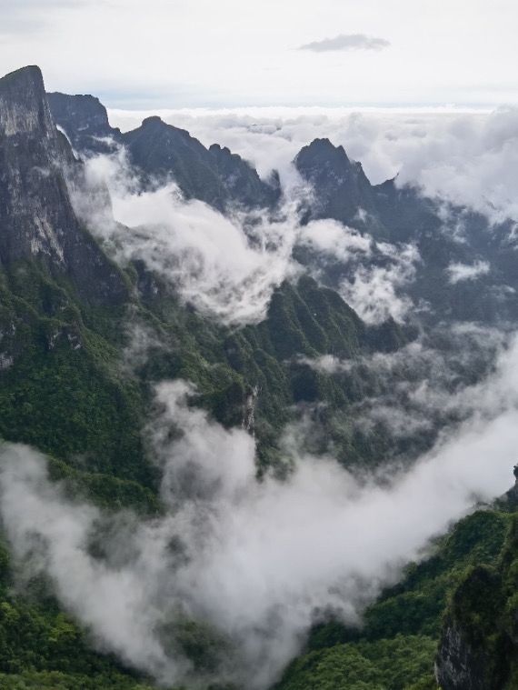 張家界&長沙5天自由行攻略仙氣縈繞的獨家路線 張家界&長沙5天自由行攻略仙氣縈繞的獨家路線