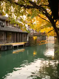 烏鎮什麼時候免門票?