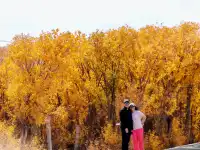 重複一萬次都不會膩的青甘大環線集錦攻略