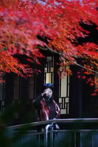 棲霞山 | 拍點不一樣的