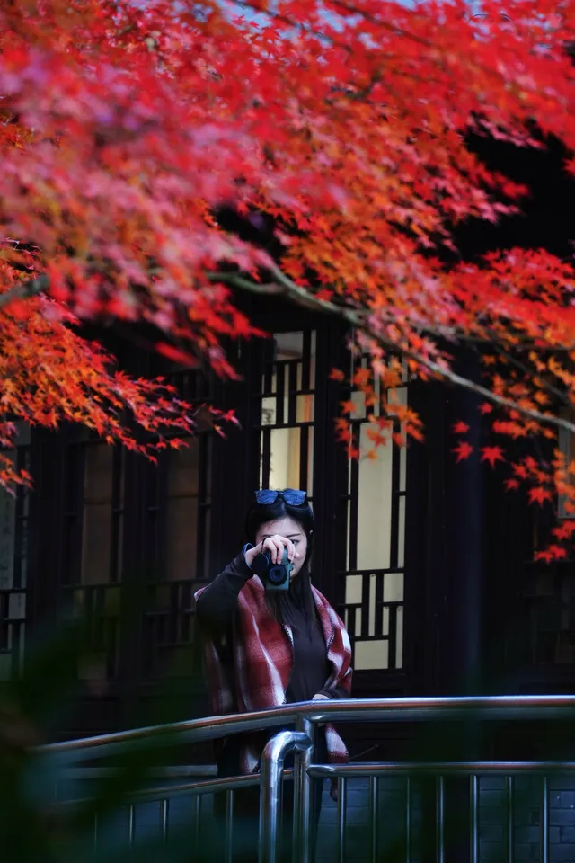 棲霞山 | 拍點不一樣的 棲霞山 | 拍點不一樣的