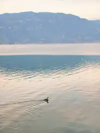 我在瀘沽湖收集了一整個日落劇場的浪漫