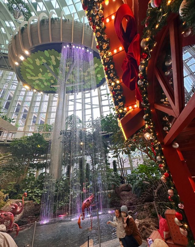 驚艷發現重慶光環購物公園的神仙聖誕樹太絕了! 驚艷發現重慶光環購物公園的神仙聖誕樹太絕了!