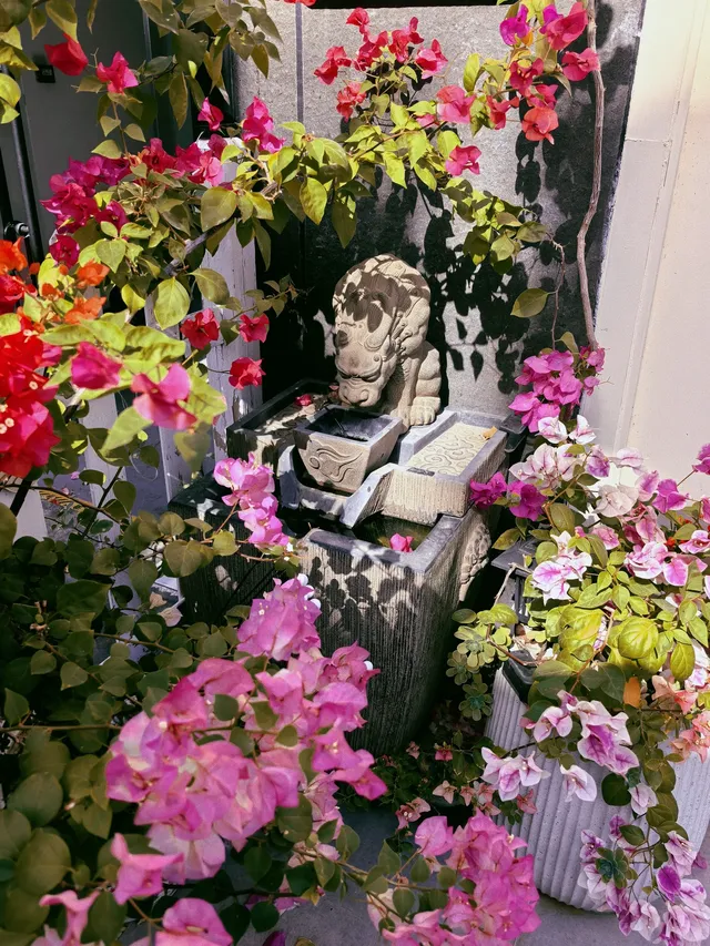 泉州|悄悄分享一個沒有人知道的絕美角落 泉州|悄悄分享一個沒有人知道的絕美角落