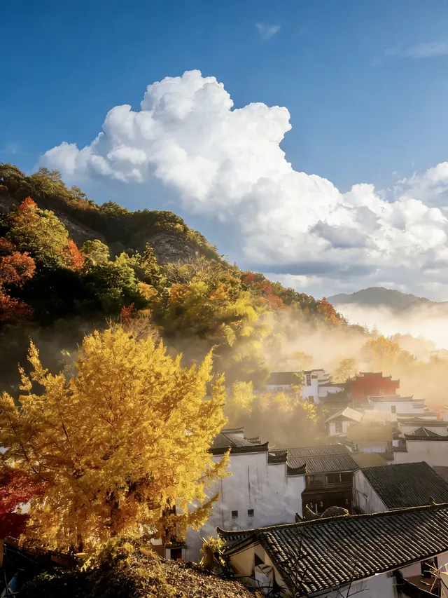南京周邊小眾賞秋出片地!好怕它會火 南京周邊小眾賞秋出片地!好怕它會火