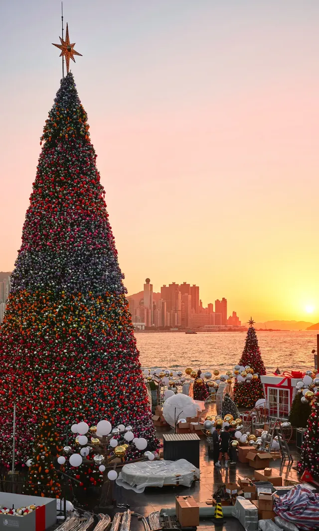 香港|12月,期待日落晚風中的海邊聖誕樹 香港|12月,期待日落晚風中的海邊聖誕樹