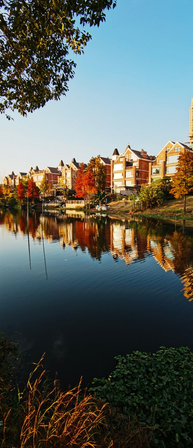 夕陽映照下的歐式建築構成的絕美風景