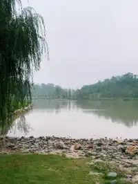 洛陽周邊遊「魏坡·新序」週末應該奔向大自然