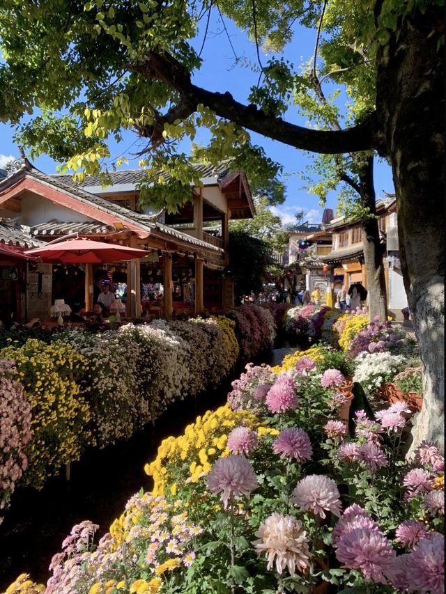 麗江古城拍照打卡封神攻略 機位+穿搭+避坑全解鎖 麗江古城拍照打卡封神攻略 機位+穿搭+避坑全解鎖