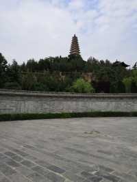 山西永濟蒲州普救寺塔(明,國保八)