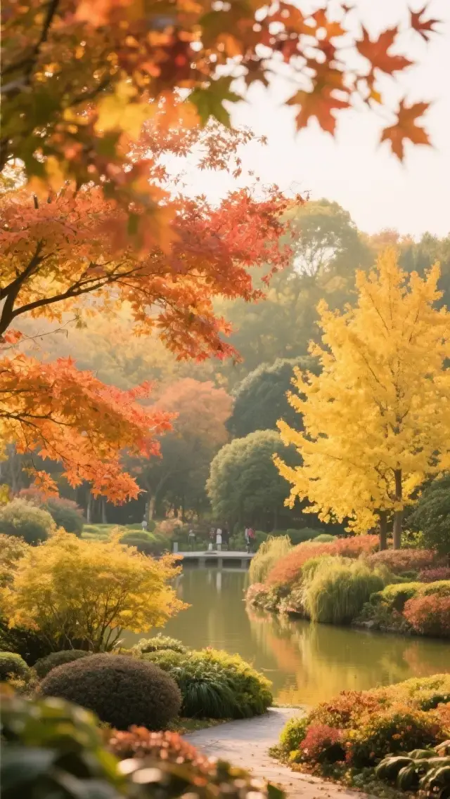 Shanghai Botanical Garden | The autumn maple leaves and ginkgo are stunningly beautiful, who else feels the same! The autumn Shanghai Botanical Garden is like a real-life fairy tale world,