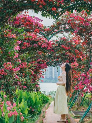 My Annual Photo Spots｜Road Trip Through the Wonders of the World · Small Town Edition