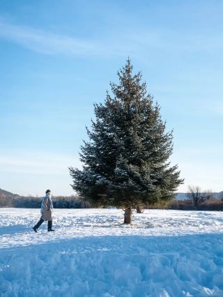 Just got back from Mohe, let me share my honest feelings....