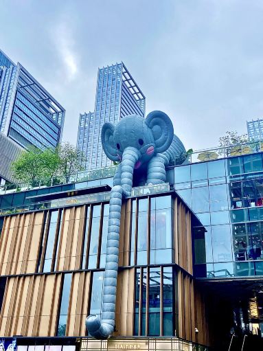 Modern Art Views 🖼️ Haus Nowhere | Trip.com The MIXC Shenzhen