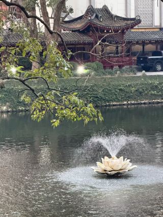 Once a year at Putuo, the ocean world carrying wishes and blessings is a sacred place for spiritual purification. This year marks another year of the Putuo Mountain Scenic Area meeting with everyone.