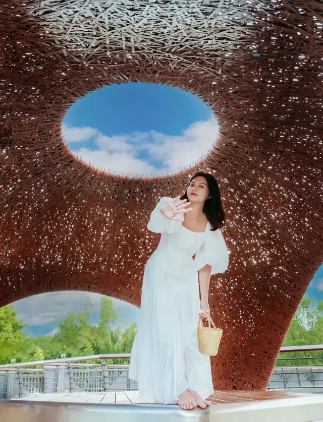 Sea Forest Park, a sanctuary for the soul — Complete travel guide to Dongzhai Port Mangrove Forest
