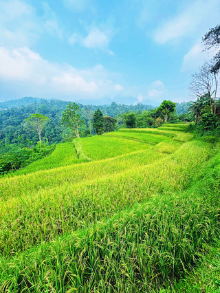 Mount Bogor Swift Waterfall Hiking Guide · Jakarta Weekend Getaway