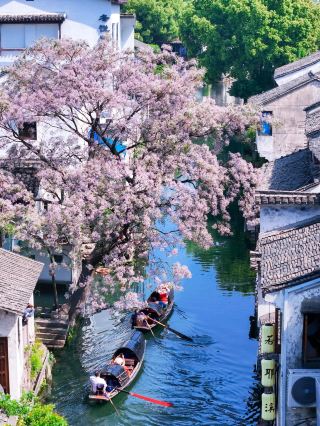 If you're coming to Shaoxing for the May Day holiday, just copy this one-day flower-viewing itinerary!