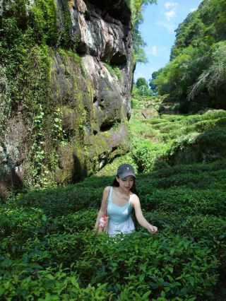 武夷山避世天花板｜住蓮韻山舍，專車接送登白雲寺看雲海