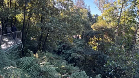 Beautiful Themed Botanical Gardens — traveler post in Acton