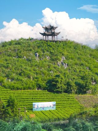 Hunan’s hidden gem small town | Anhua might not stay a secret for long!