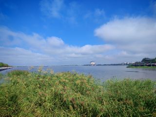 Daqing, Heilongjiang – Durbert Tianhu National Wetland Park