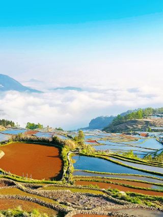 Summer trip to Xishuangbanna - Pu'er - Honghe: save this amazing guide