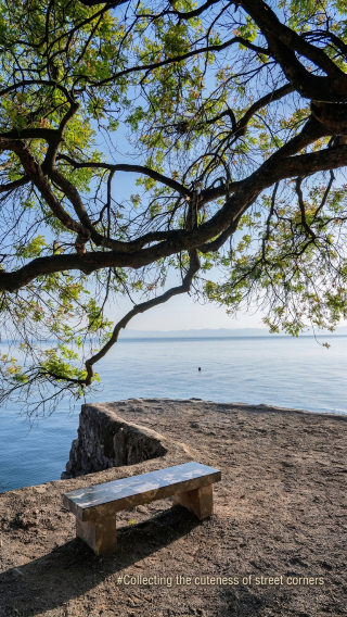 A must-stay fairy hotel for self-driving at Fuxian Lake with private transfers + free parking!